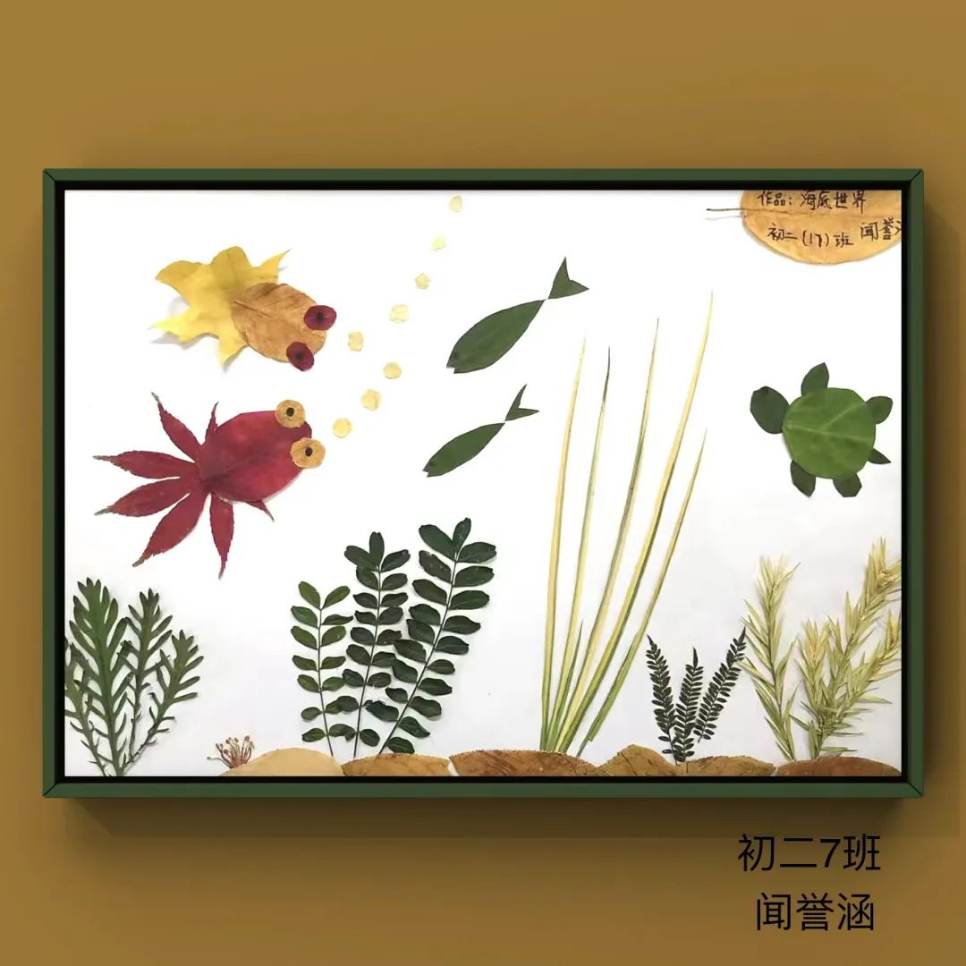 盘龙教育(微信)