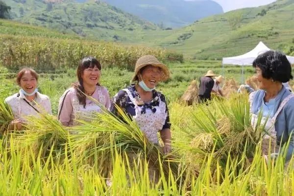昆明市农业农村局