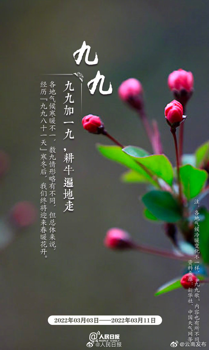 “云南发布”微博