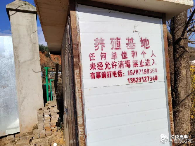 嵩明发布