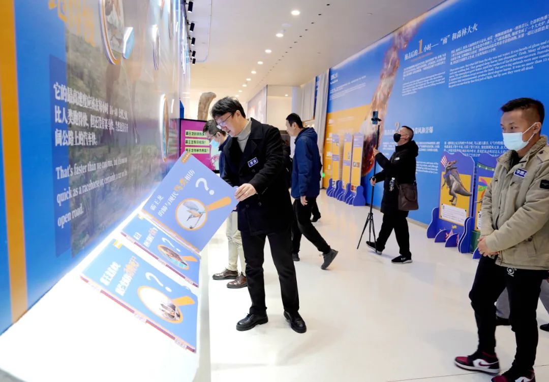 盘龙教育(微信)