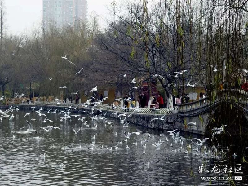 昆明信息港/cnkmxxg
