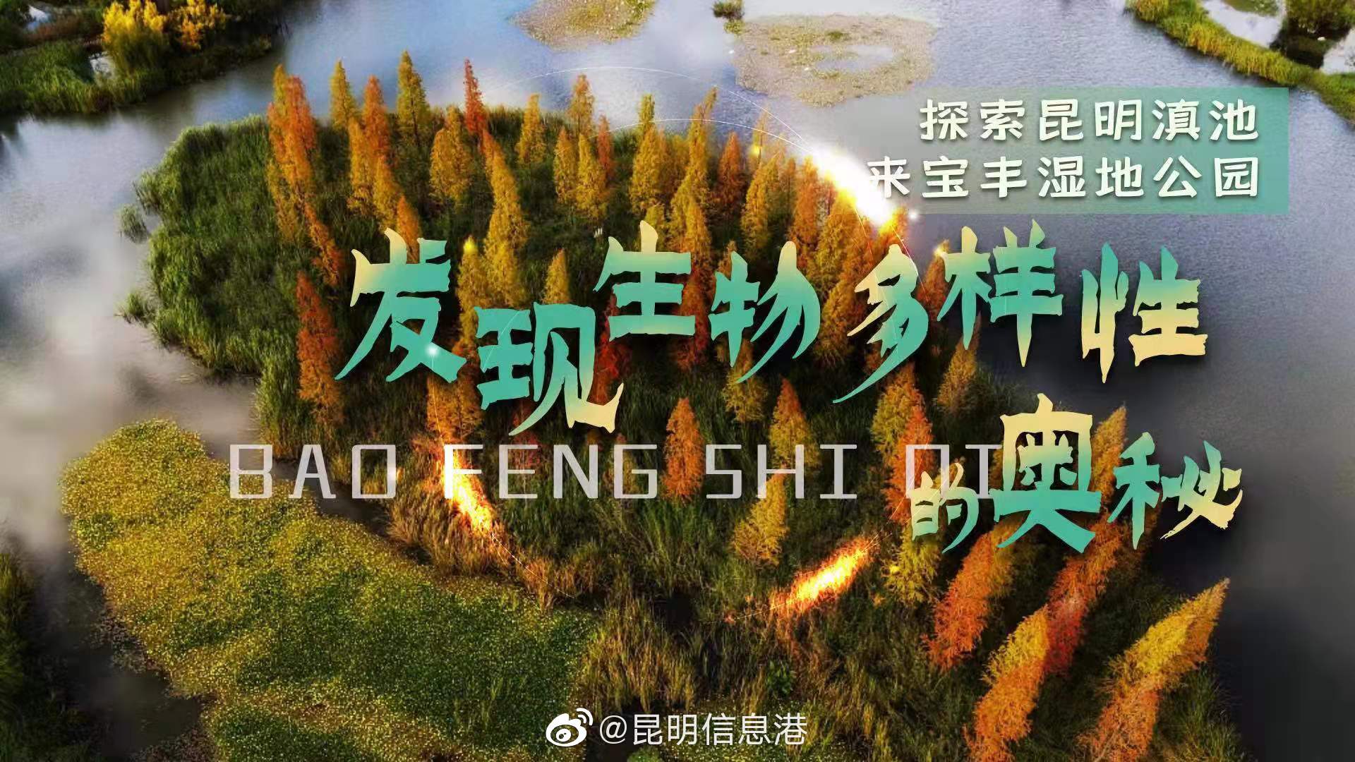 “水”——探索滇池湿地生物多样性