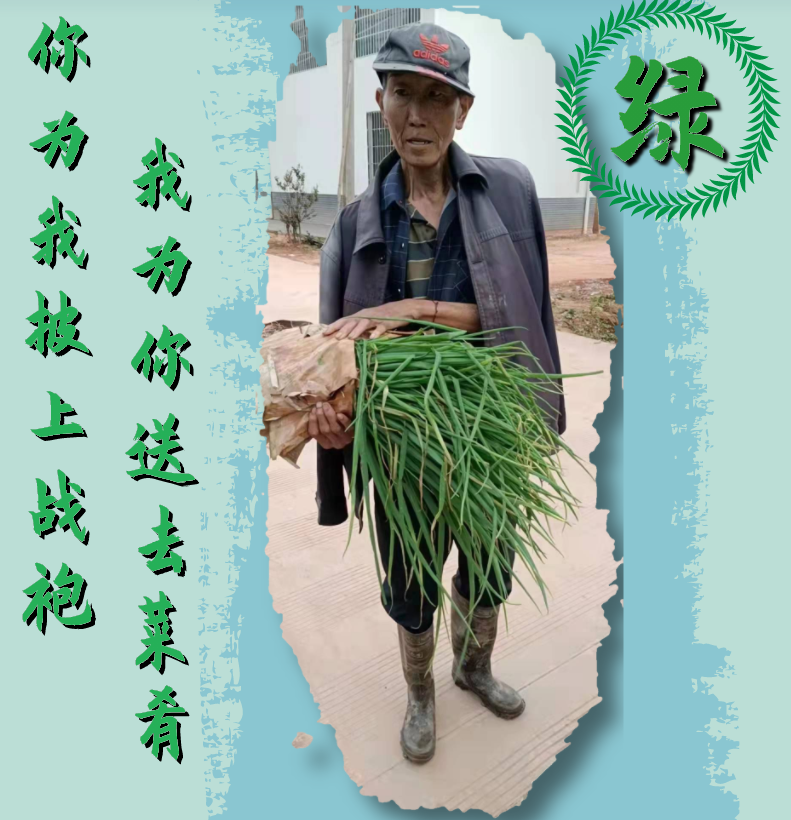 西双版纳先锋
