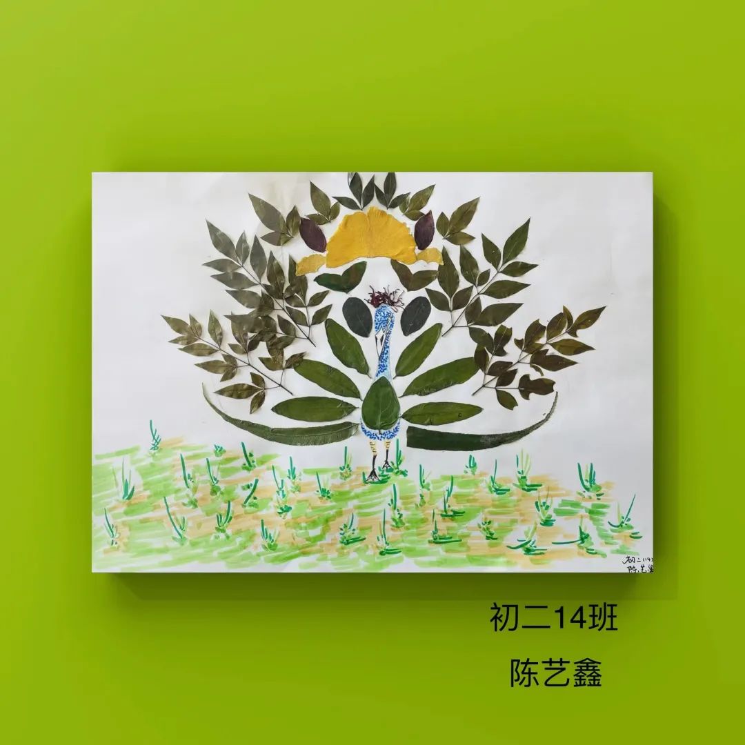 盘龙教育(微信)