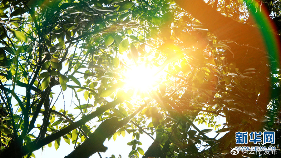 “云南发布”微博