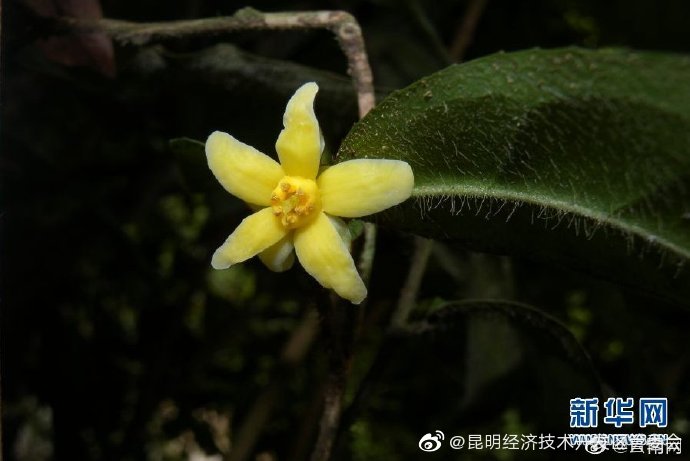 昆明经济技术开发区管委会