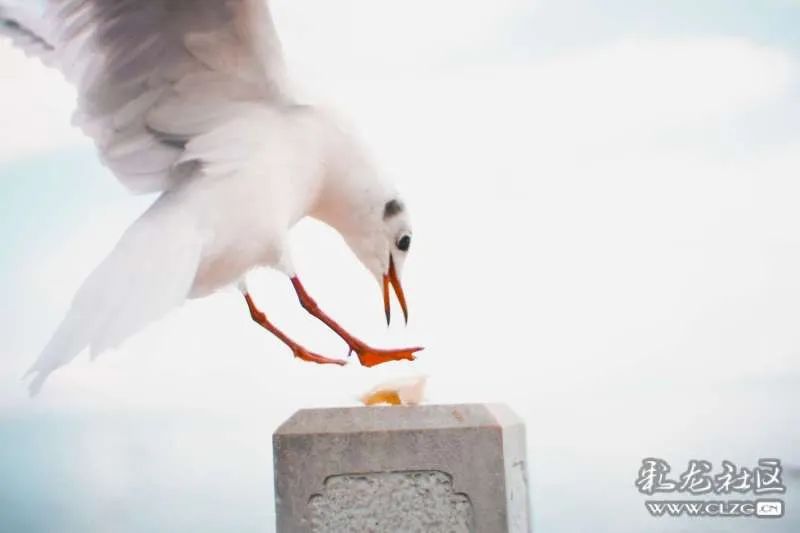 昆明信息港/cnkmxxg