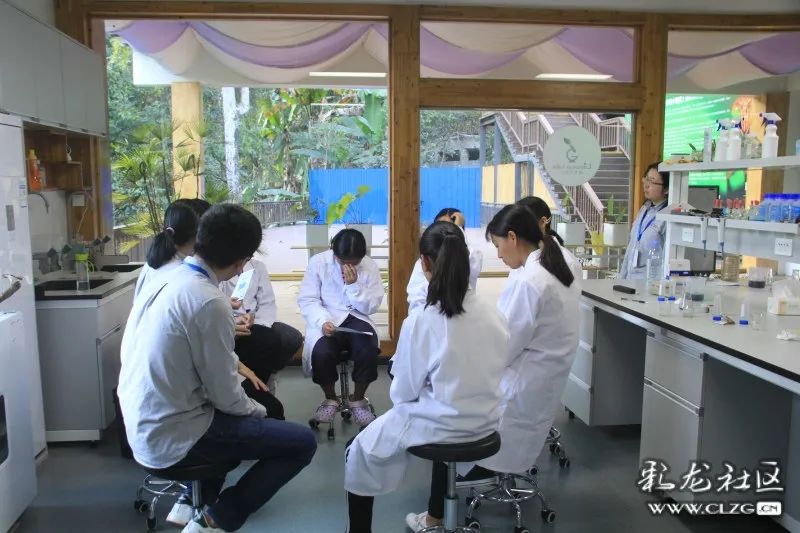 西双版纳望天树景区