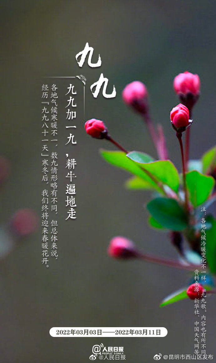 “昆明市西山区发布”微博