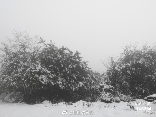 昆明信息港