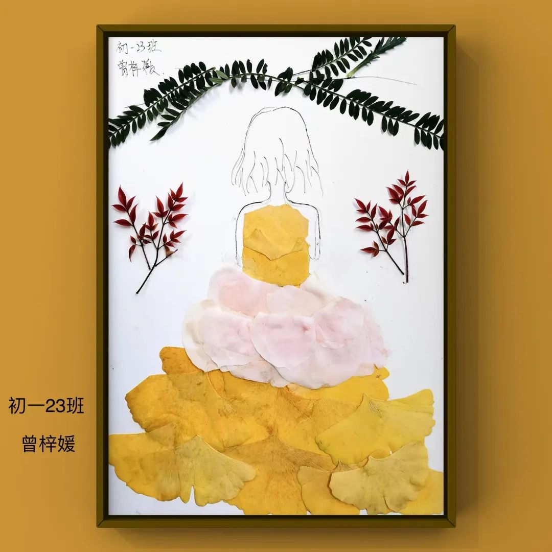 盘龙教育(微信)