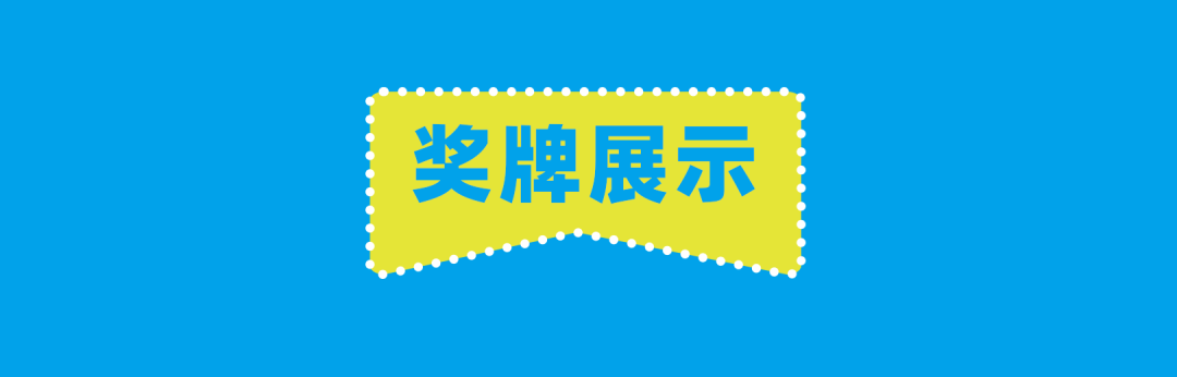 德宏团结报