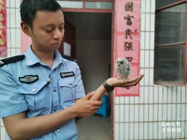 昆明信息港/cnkmxxg