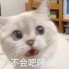 昆明信息港/cnkmxxg
