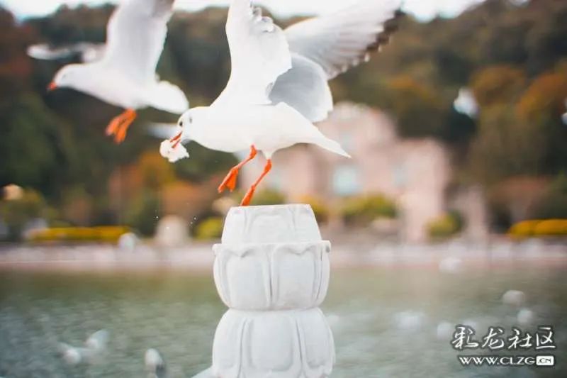 昆明信息港/cnkmxxg