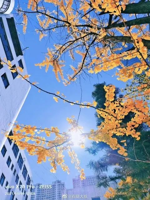 春城晚报