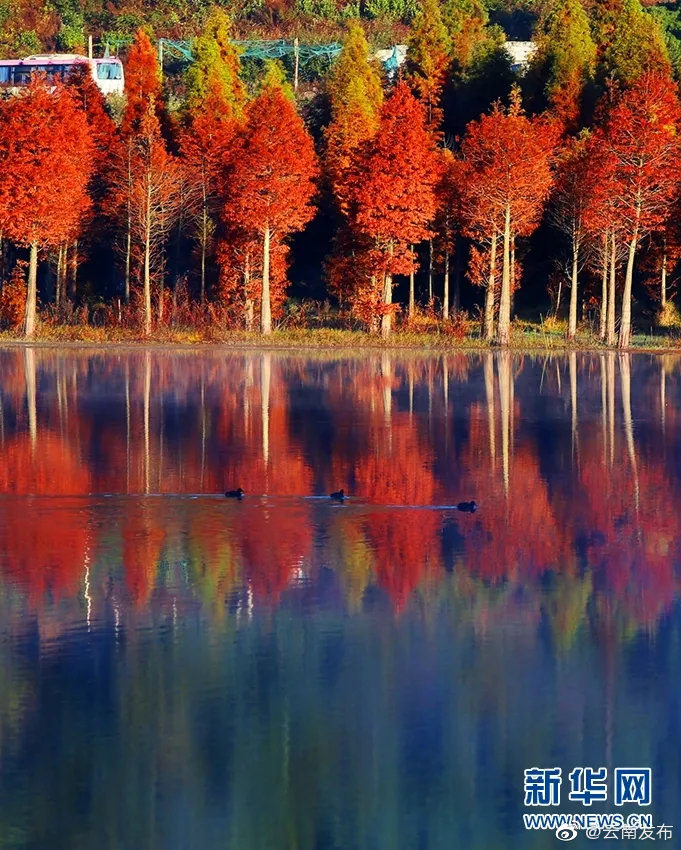 “云南发布”微博