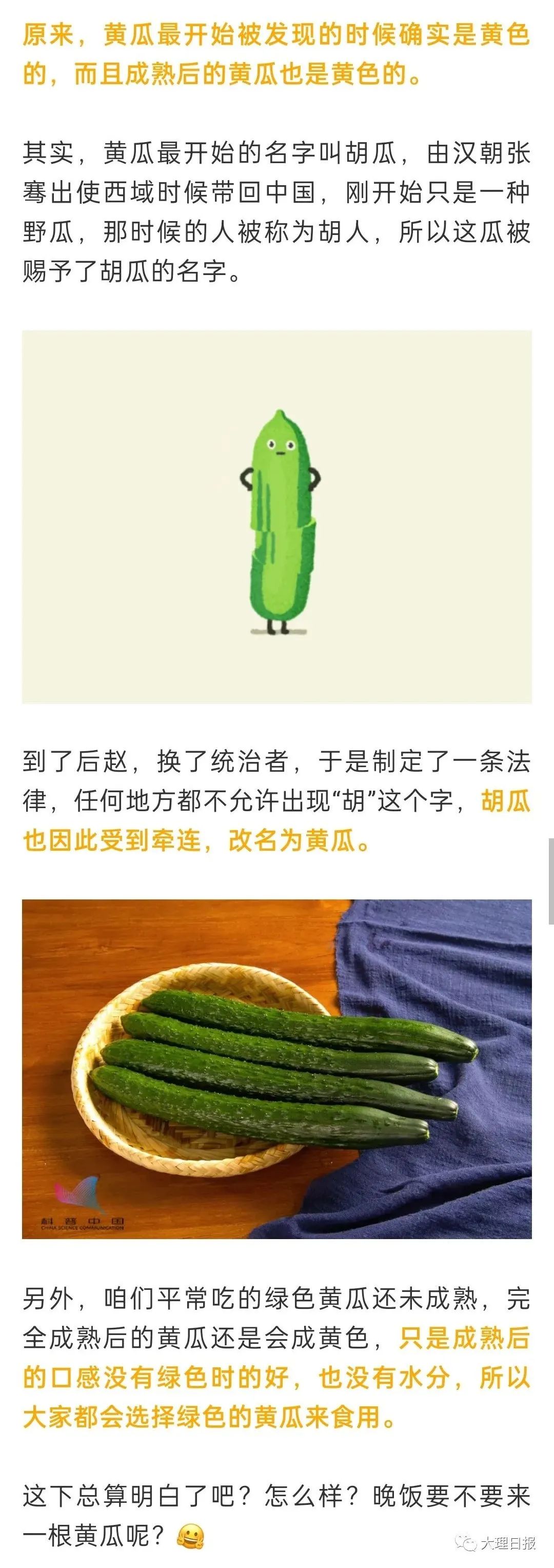 大理日报