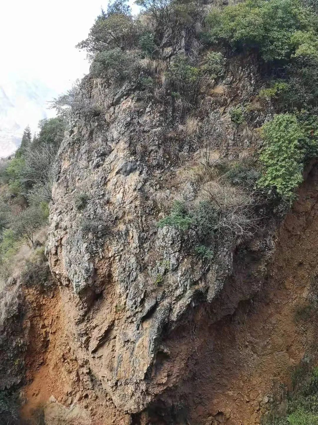 东川发布(微信)
