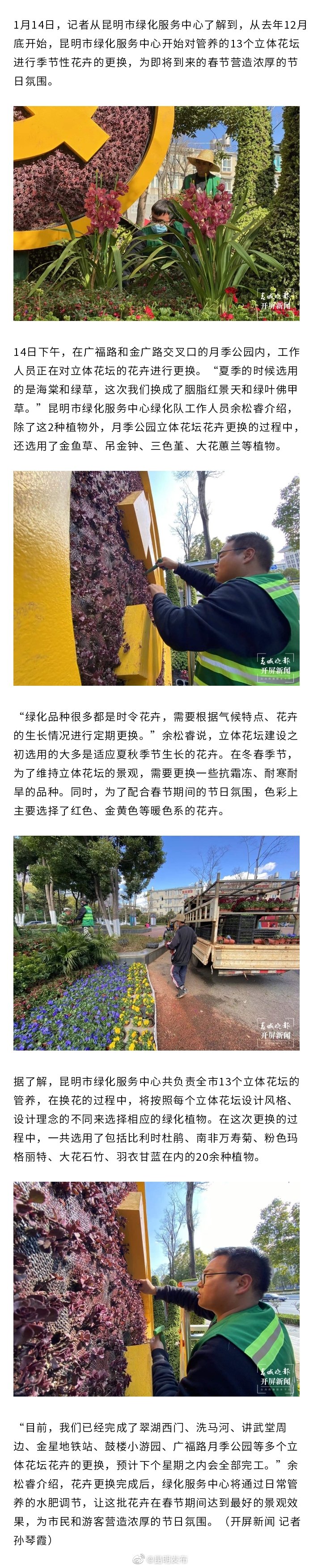 昆明多个立体花坛集体“换冬装” 预计春节期间景观效果最好