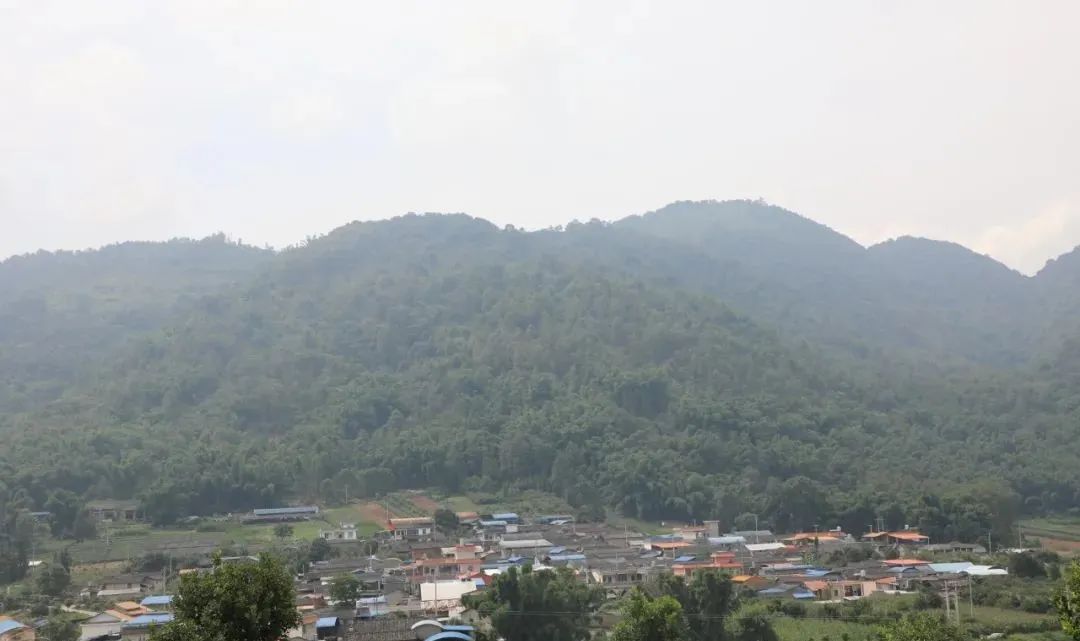 德宏团结报