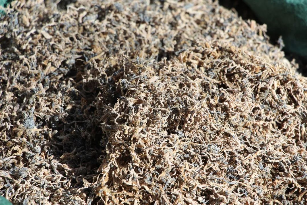 保山广播电视台