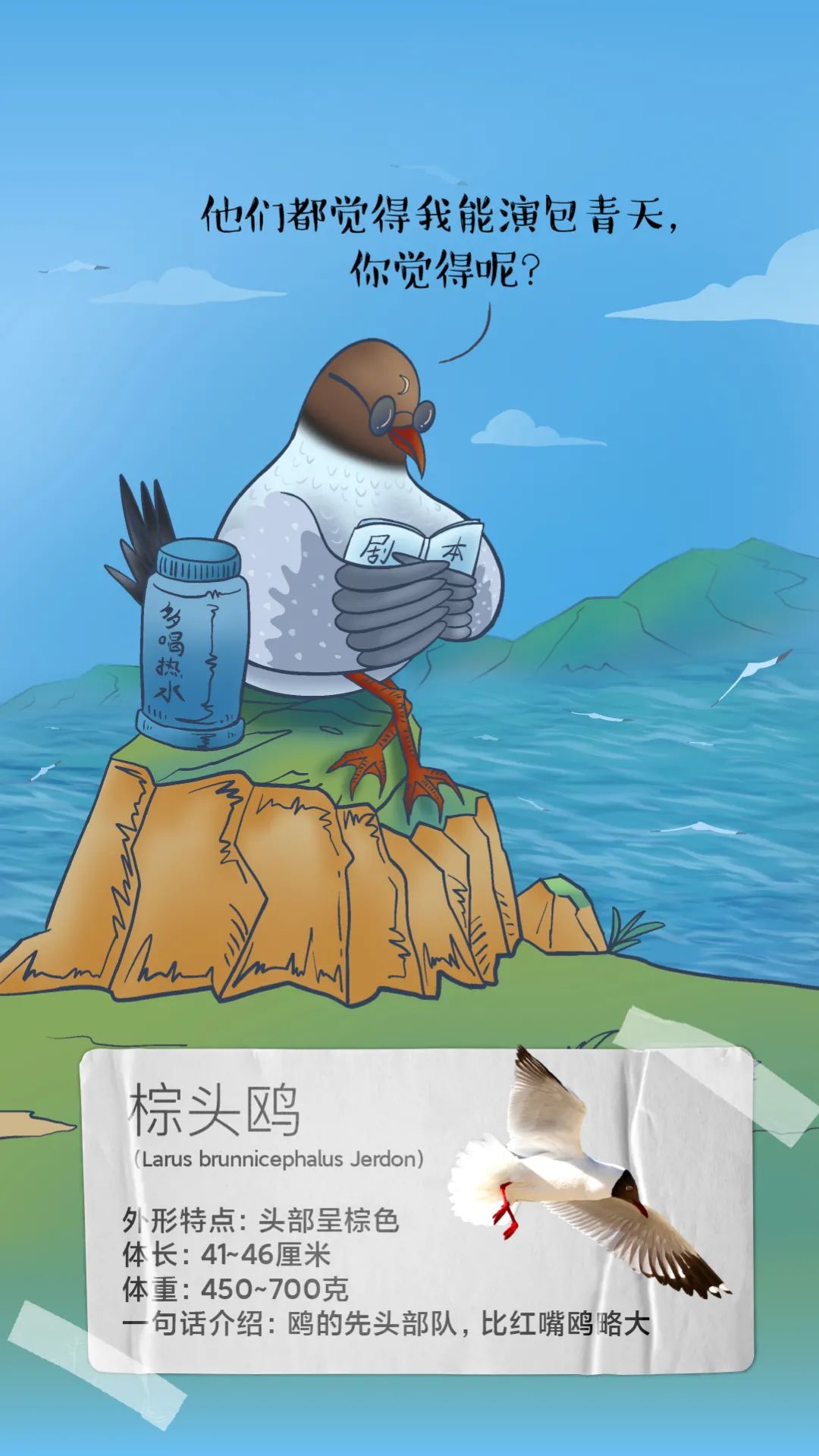 昆明发布