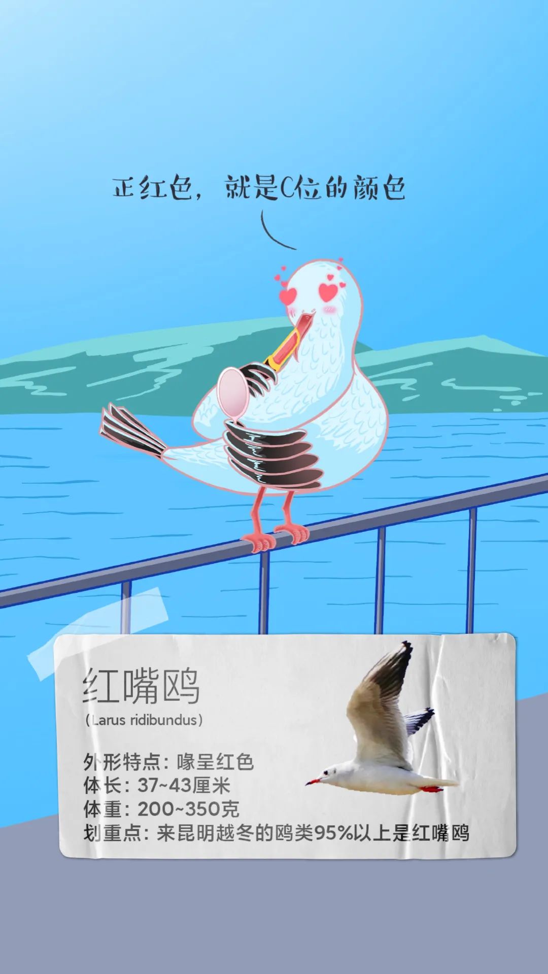 昆明发布
