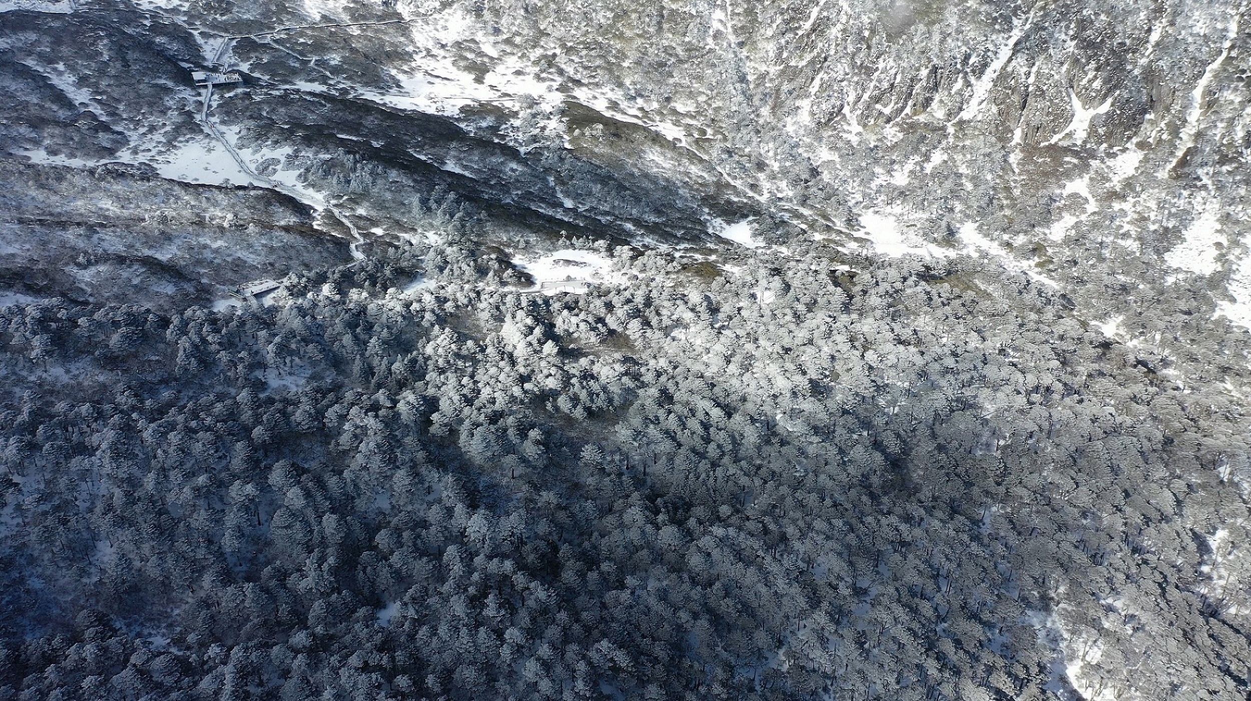 云南省文化和旅游厅