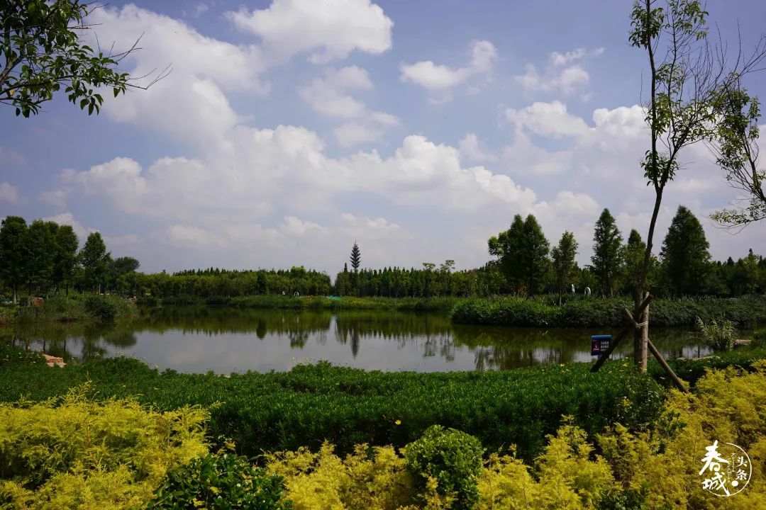 昆明滇池国家旅游度假区管理委员会(微信)