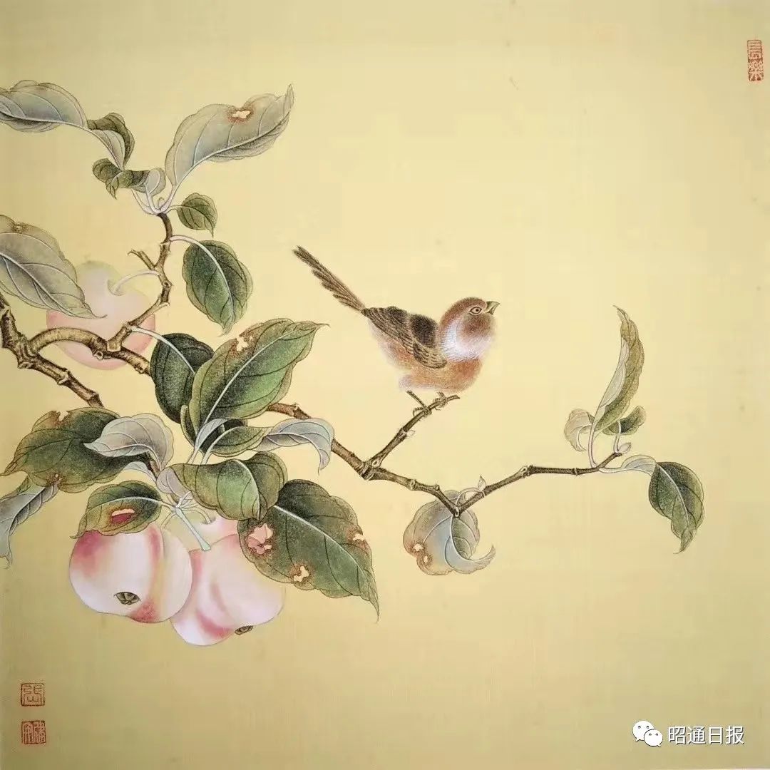 昭通日报