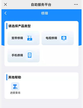 德宏团结报