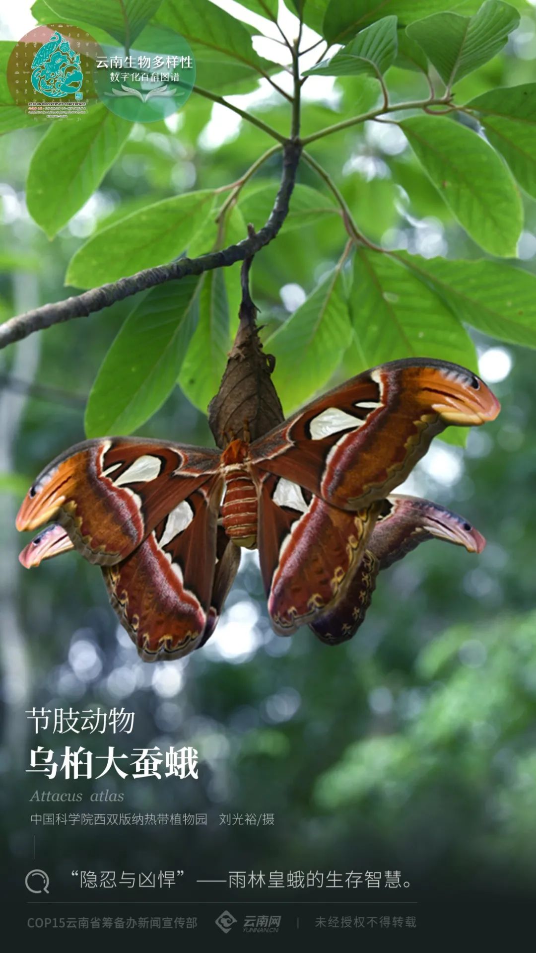 云南省人民政府网