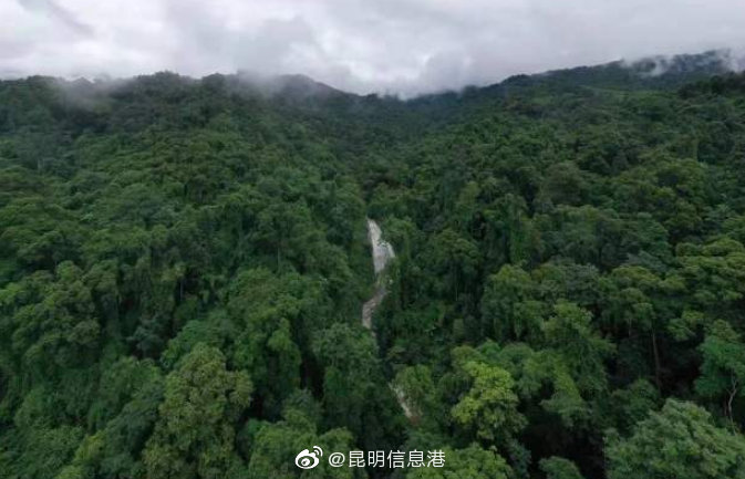 昆明信息港