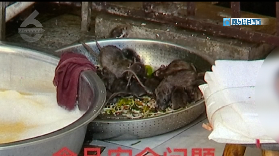 昆明信息港/cnkmxxg