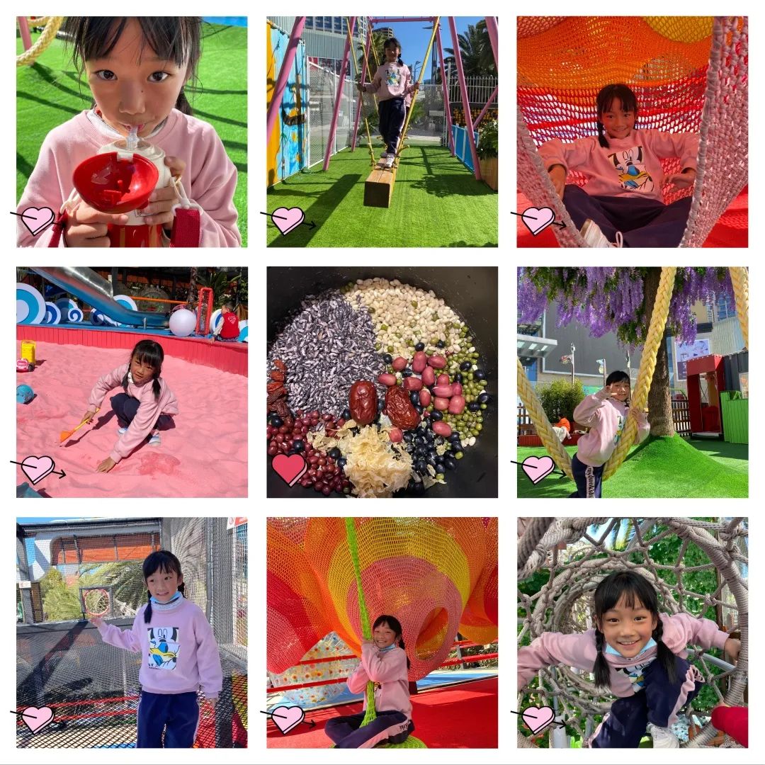 盘龙教育(微信)