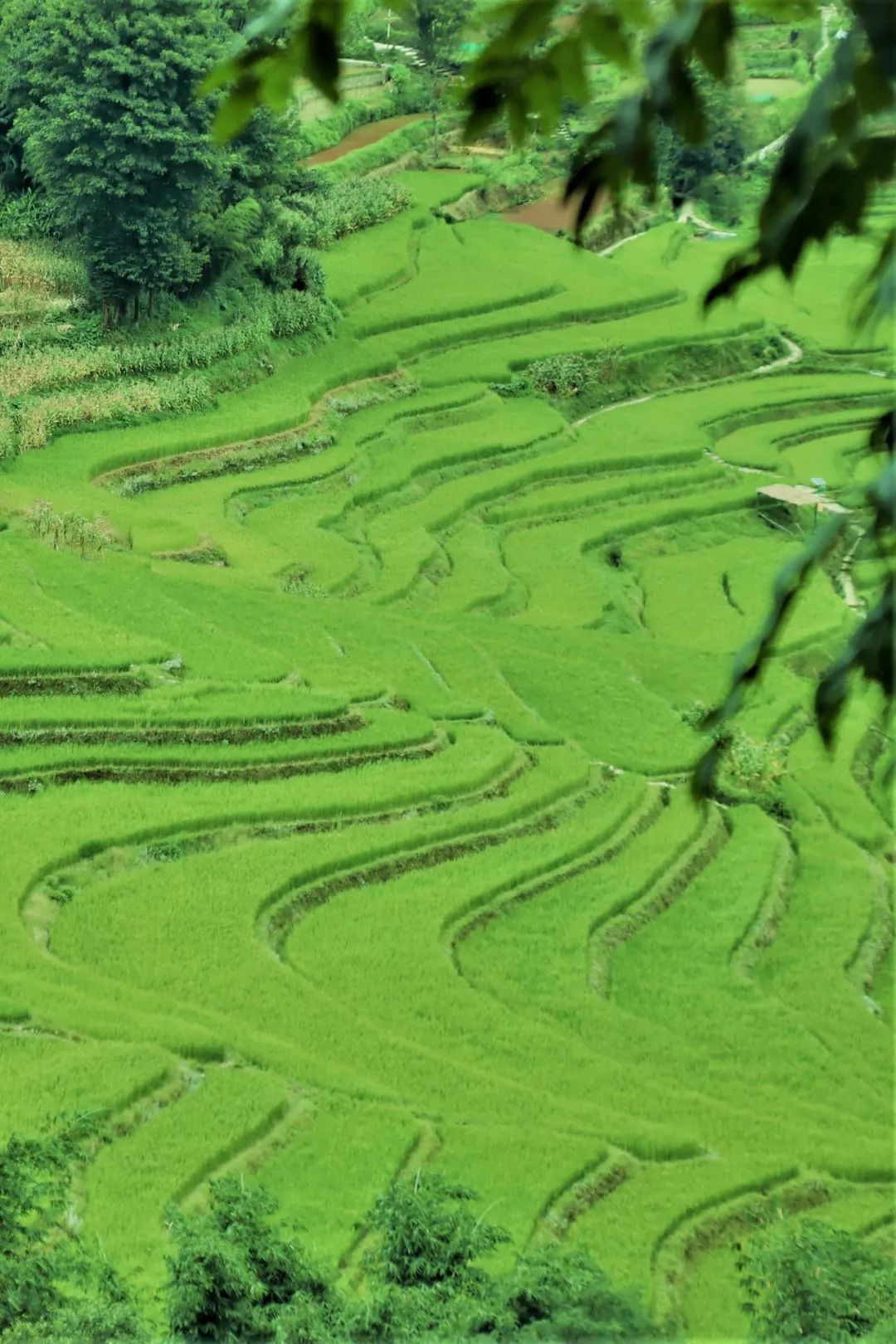 红河文旅