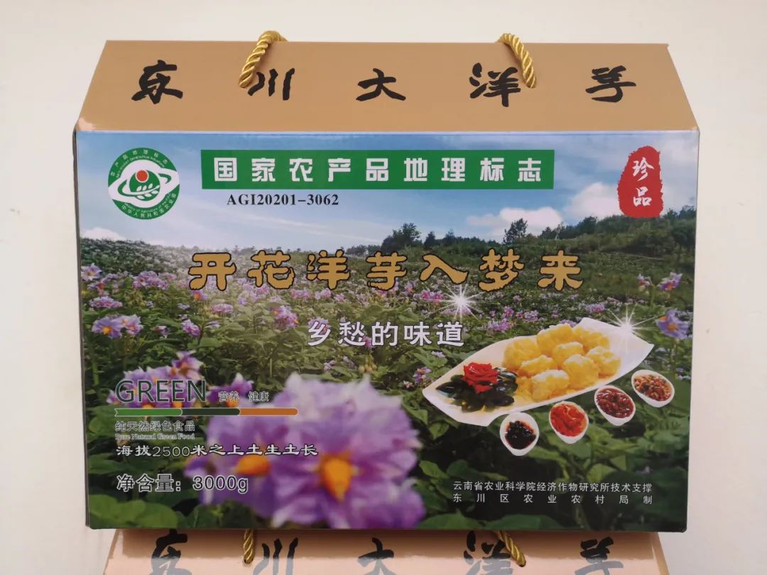 东川发布(微信)