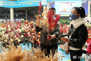 斗南年宵花涨价 市民购买热情不减