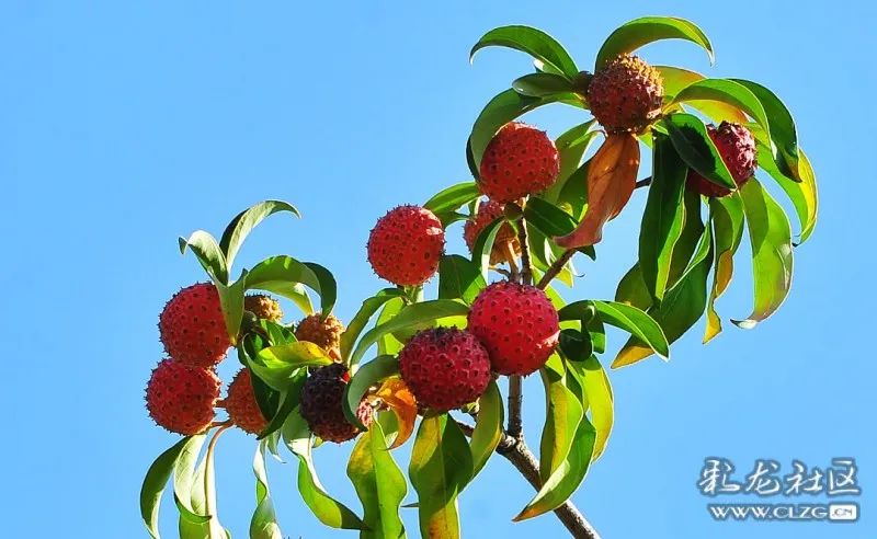 昆明信息港/cnkmxxg