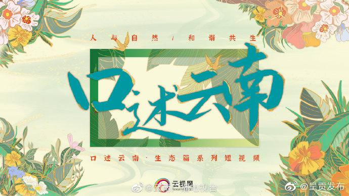 呈贡发布