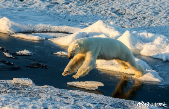 “云南发布”微博