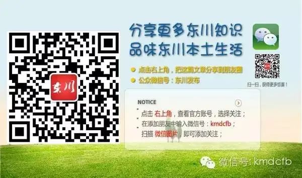 东川发布(微信)