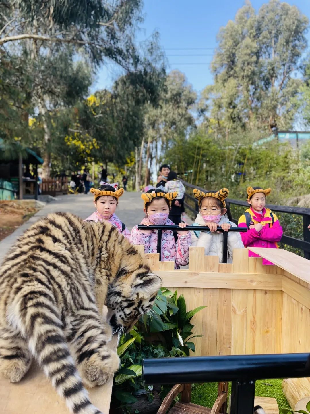 云南野生动物园