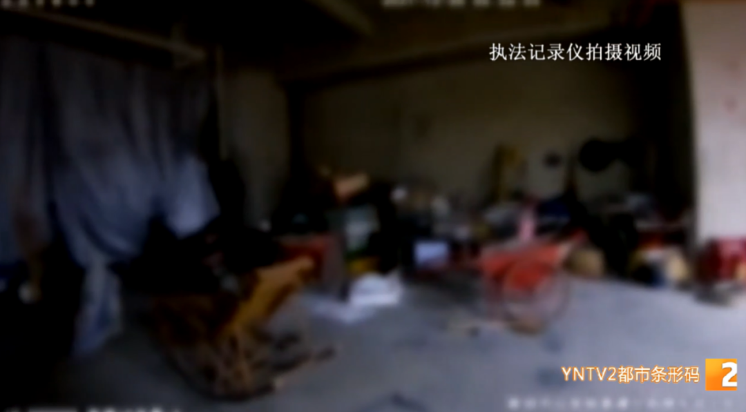 昆明信息港/cnkmxxg