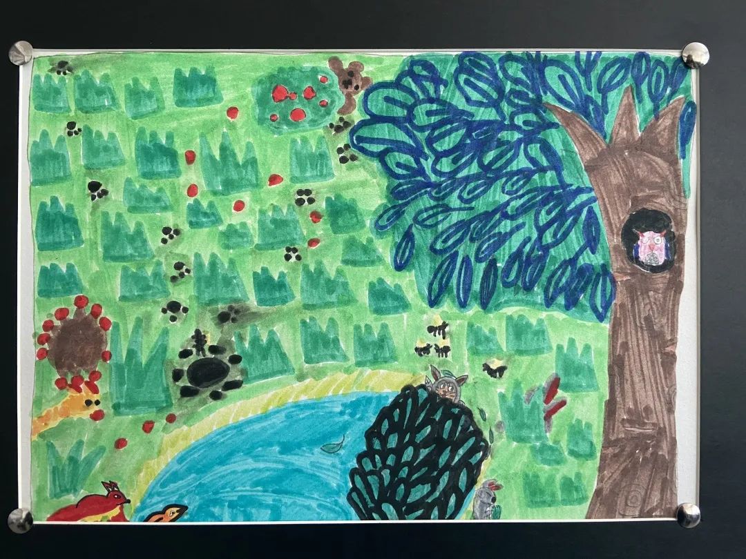 盘龙教育(微信)