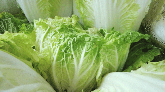 昆明市延安医院