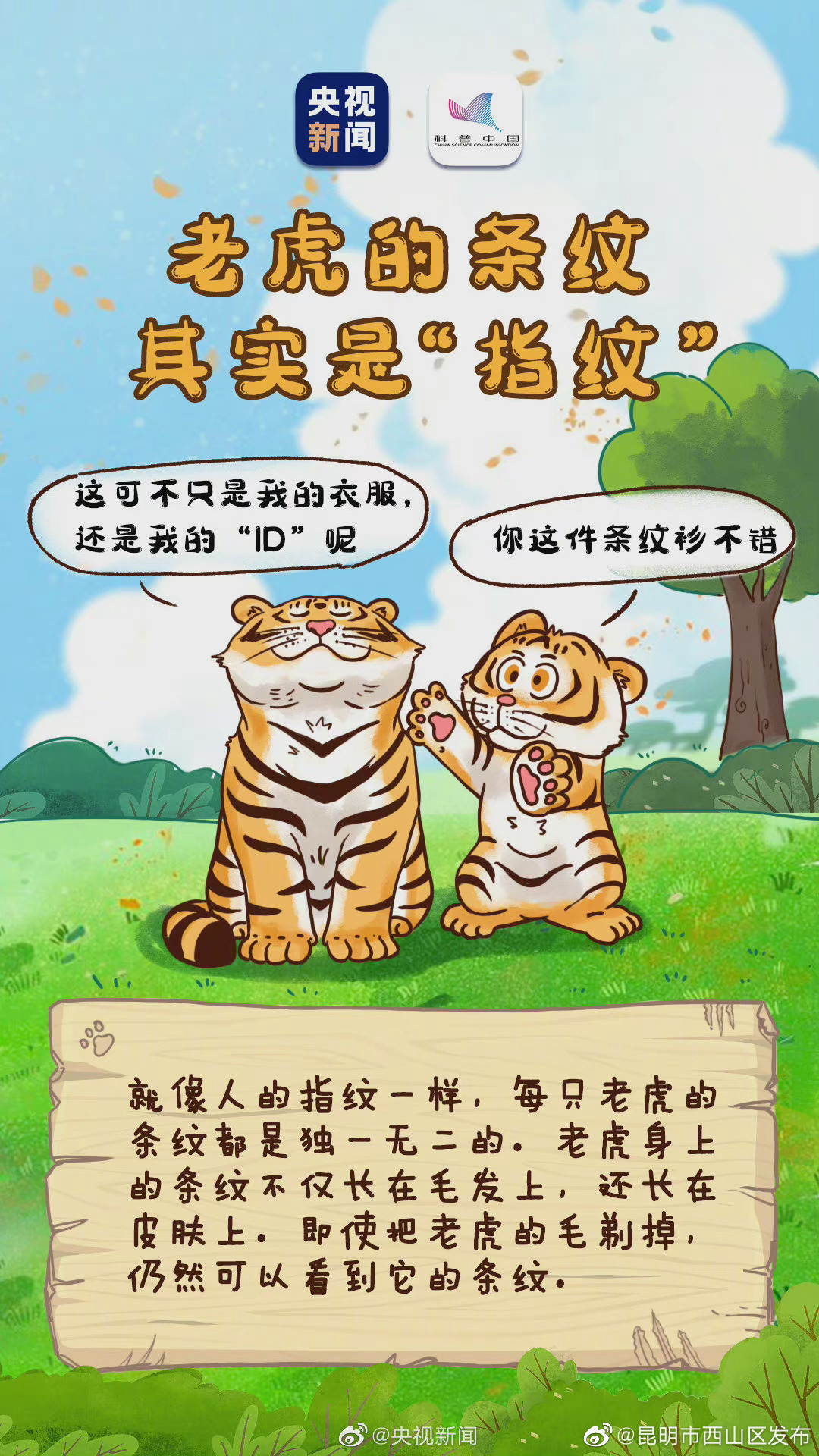 “昆明市西山区发布”微博