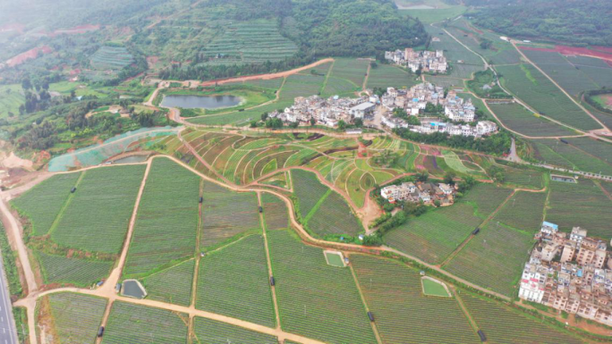 曲靖公共就业服务网